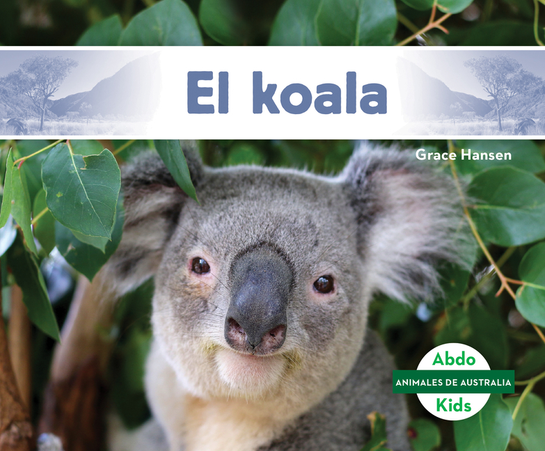 Animales De Australia Australian Animals El Koala Koala Hardcover Walmart Com Walmart Com