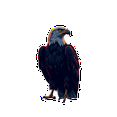 thumbnail image 4 of Multicolor Vinyl Eagle Stickers Waterproof Detective Bald Eagle Stickers for Notebooks Laptops Instruments, 4 of 9