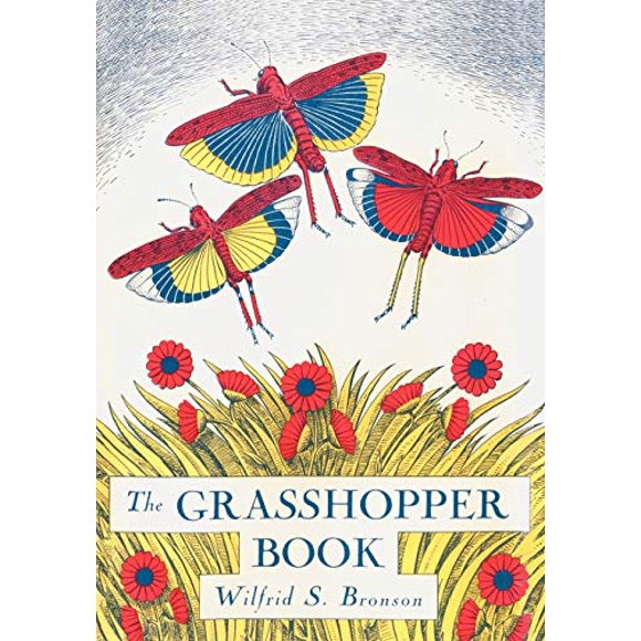 Le Livre Sauterelle