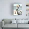 thumbnail image 3 of Trademark Fine Art Grace Popp Pelican Beach II Canvas Wall Art, 3 of 4