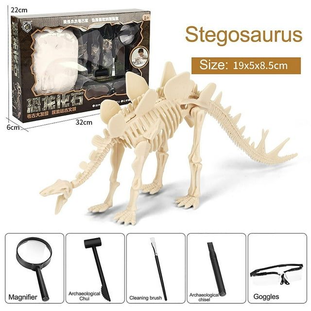 Juguete DIY de esqueleto fósil de dinosaurio para niños - HUOGUO