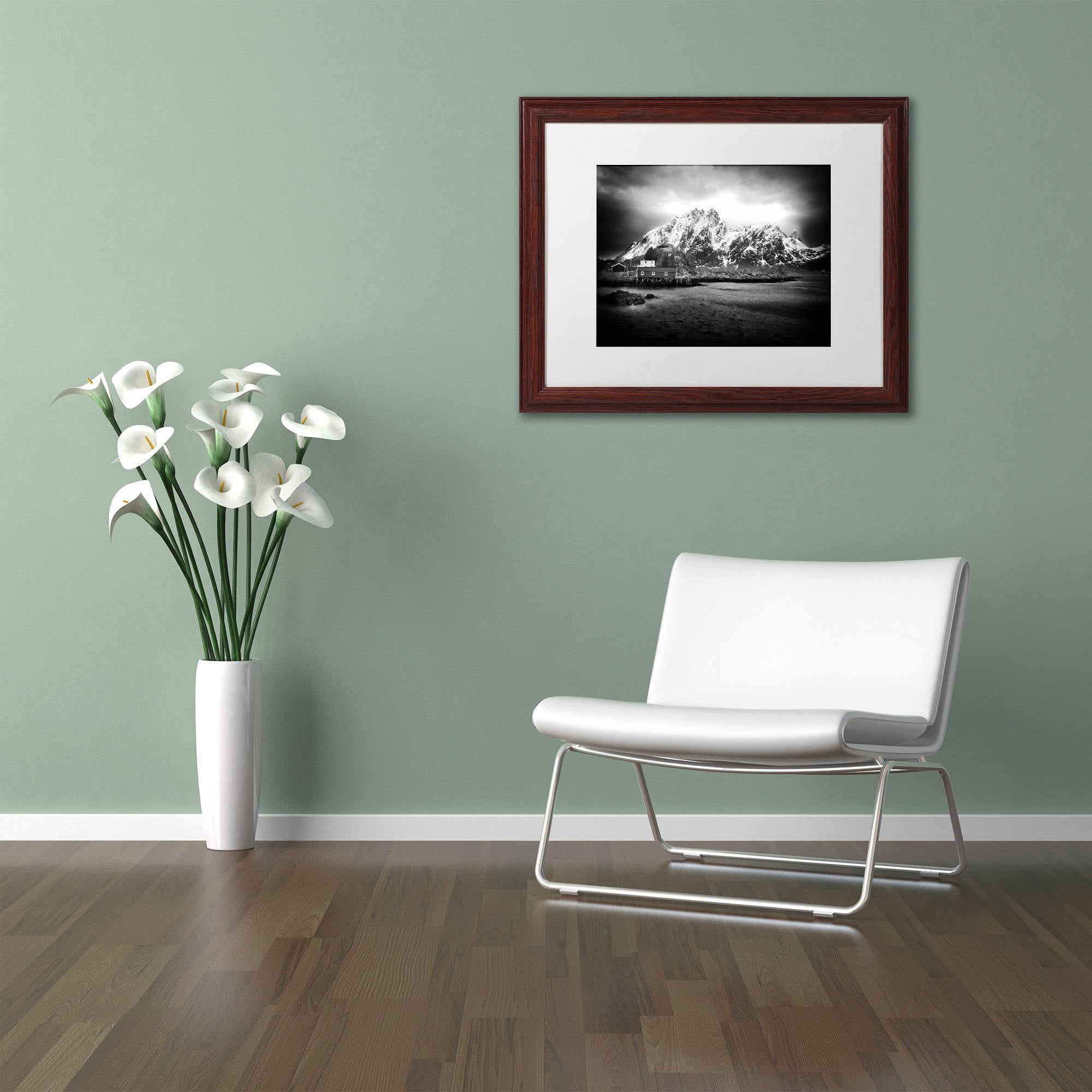 Trademark Fine Art "Fool Sometimes" Canvas Art by Philippe Sainte-Laudy, White Matte, Wood Frame
