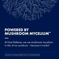 thumbnail image 6 of Host Defense MyCommunity Capsules - 17 Species Blend Mushroom Supplement for Immune Support - Herbal Aid with Lion's Mane, Reishi. Chaga, Cordyceps, Turkey Tail & More - 120 Capsules (60 Servings)*, 6 of 7