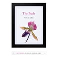 thumbnail image 1 of The Body, 1 of 2