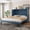 Navy Blue, variant on Queen Size Murphy Bed with Drawer and USB Ports, Wall Bed Space-Saving Cabinet Bed for Guest Room, Home Office, White