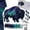 Bison, variant on Northern Lights Wildlife DIY Patchwork Kit, Creative Fabric Craft Sewing Kit for Adults, Handmade Home Decor Project, Relaxing DIY Art Activity, Unique Gift for Craft Lovers( Arctic Fox)