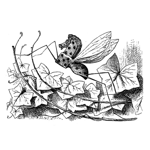 Carroll: Looking Glass. /Nthe Rocking-Horse-Fly, One Of The Glass Insects Discovered By Alice. Illustration By John Tenniel From The First