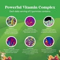 thumbnail image 4 of Natures Craft Organic Kids Multivitamin Gummies for Immune Support, Berry Flavor, 60 Gummies, 4 of 10