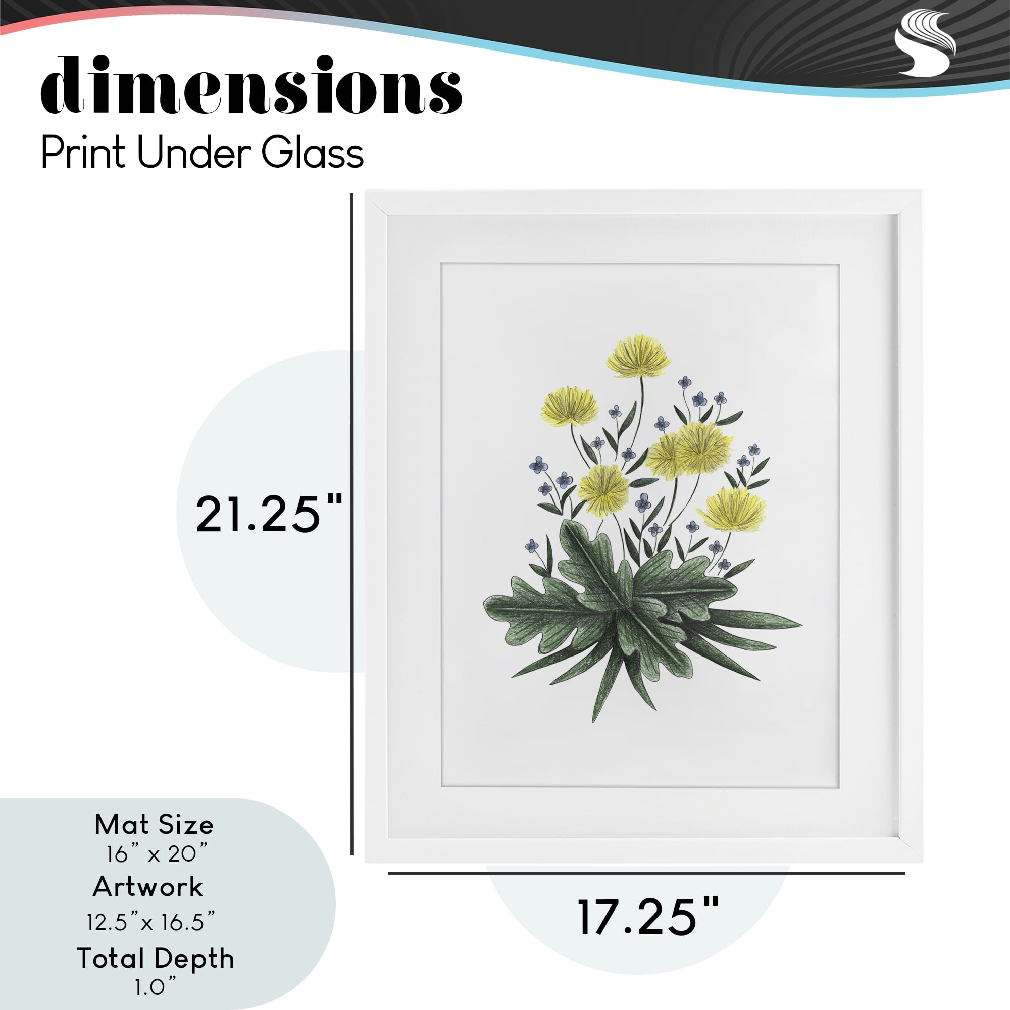 Dandelion Flower Illustration White Framed Print Under Glass, design by Cecilia Battaini