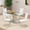 1 Table and 4 White Chairs Silver Legs, variant on Sumdeal 5-Piece Dining Set, 63 in Glass Dining Table with 4 Black Velvet Chairs, Silver Legs