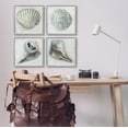 thumbnail image 2 of Stupell Industries Detailed Seashells Ocean Life Painting Gray Framed Art Print Wall Art, Set of 4, Design by Erica Christopher, 2 of 8