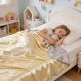 thumbnail image 4 of Queen Size Ice Silk Comforter Lightweight Breathable Washable Solid Color Summer for Hot Sleepers Night Sweats, 4 of 6