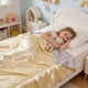 thumbnail image 4 of Comforter Queen Size Summer Blanket Lightweight Ice Silk Quilt Solid Color Washable Breathable Thin Coverlet For Hot Sleepers Night Sweats For A, 4 of 6