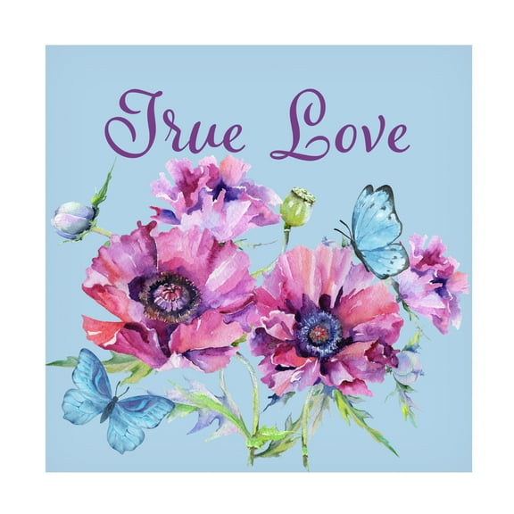 Canvas Wall Art - Jean Plout 'True Love' Wall Art for Living Room, Bedroom, or Office Décor by Trademark Fine Art - 14 x 14 Inches