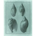 thumbnail image 2 of Vision Studio 20x24 White Modern Wood Framed Museum Art Print Titled - Spa Shell Collection III, 2 of 4
