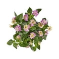 thumbnail image 2 of Bonnie Plants Colorful Companions Lavender Lantana, 25 oz., Live Plant, 2 of 8