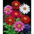 thumbnail image 2 of 5d Diy Diamond Painting Embroidery Square Diamond Home Decor Gift, 2 of 5