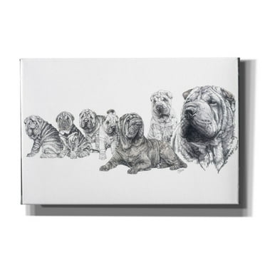 Epic Graffiti 'Growing Up Shar Pei' by Barbara Keith, Canvas Wall Art, 60"x40"