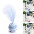 thumbnail image 2 of Cat Toy Interactive Artificial Feather Pet Ball Cat Fetch Ball Cat Teaser Toy, 2 of 10