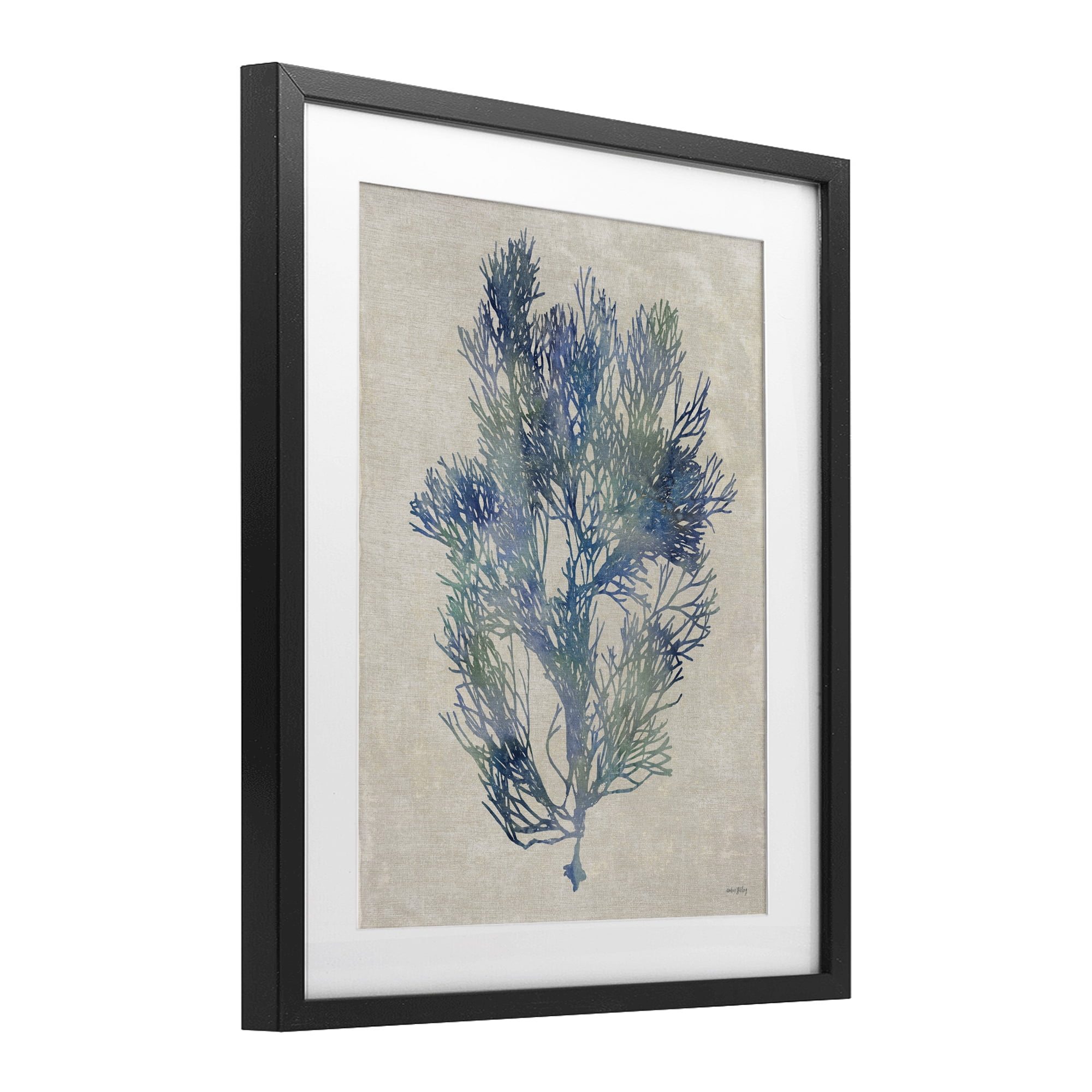 Stupell Industries Misty Blue Coral Study Black Framed Print Under Glass, design by Amber Sterling