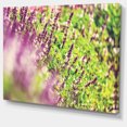 thumbnail image 2 of Beautiful Mint Flowers in Garden - Floral Canvas Art Print, 2 of 3