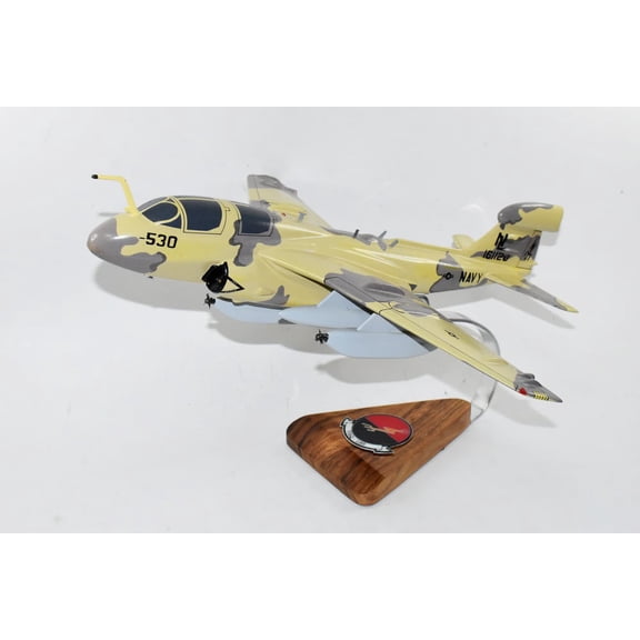 VAQ-133 Wizards EA-6b (161120) Model