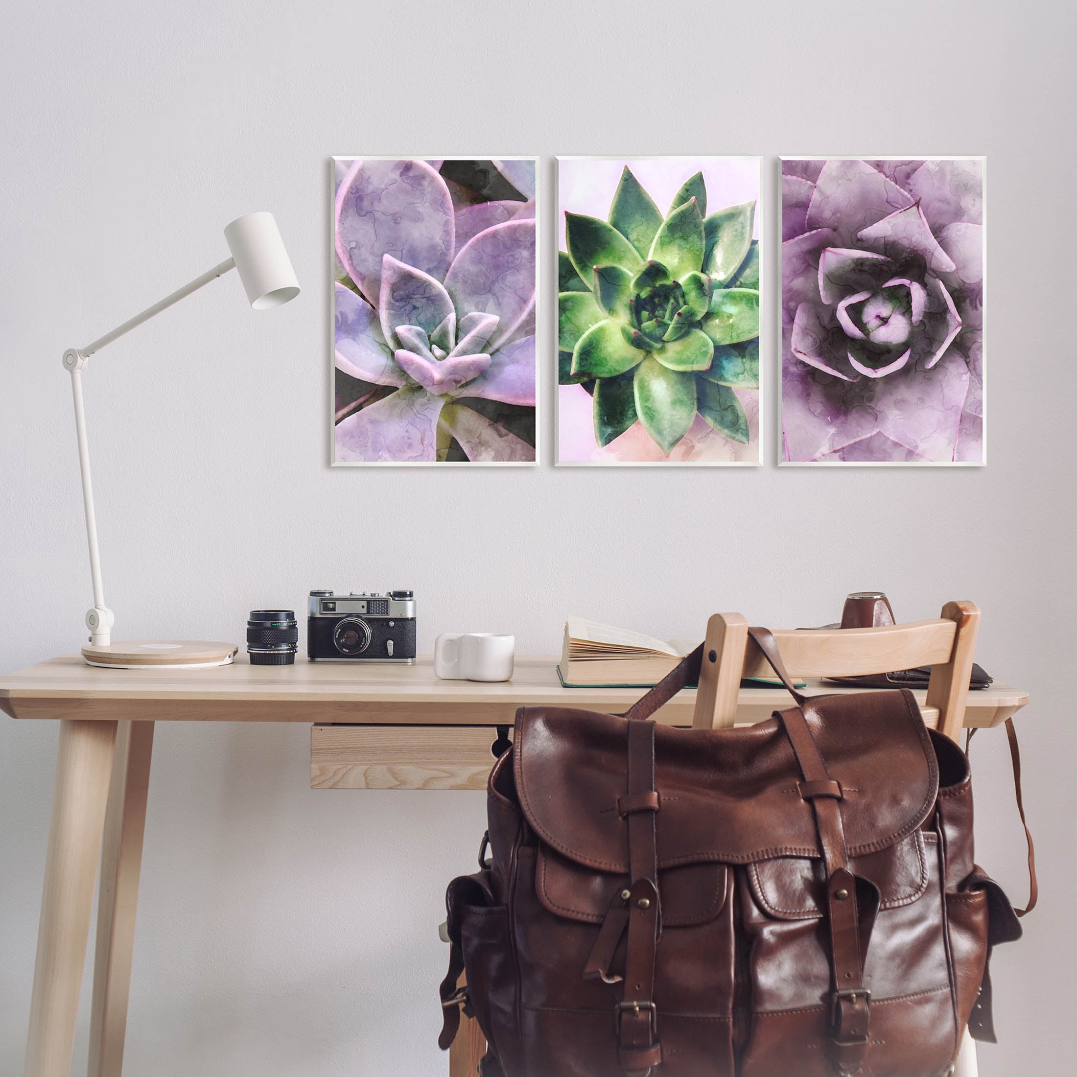 Purple Sprouting Succulents Close Up Botanical & Floral Graphic Art Unframed Art Print Wall Art, Set of 3