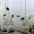thumbnail image 1 of New Hanging Glass Flowers Plant Vase Bottle Terrarium Container Home Garden Decors, 1 of 4
