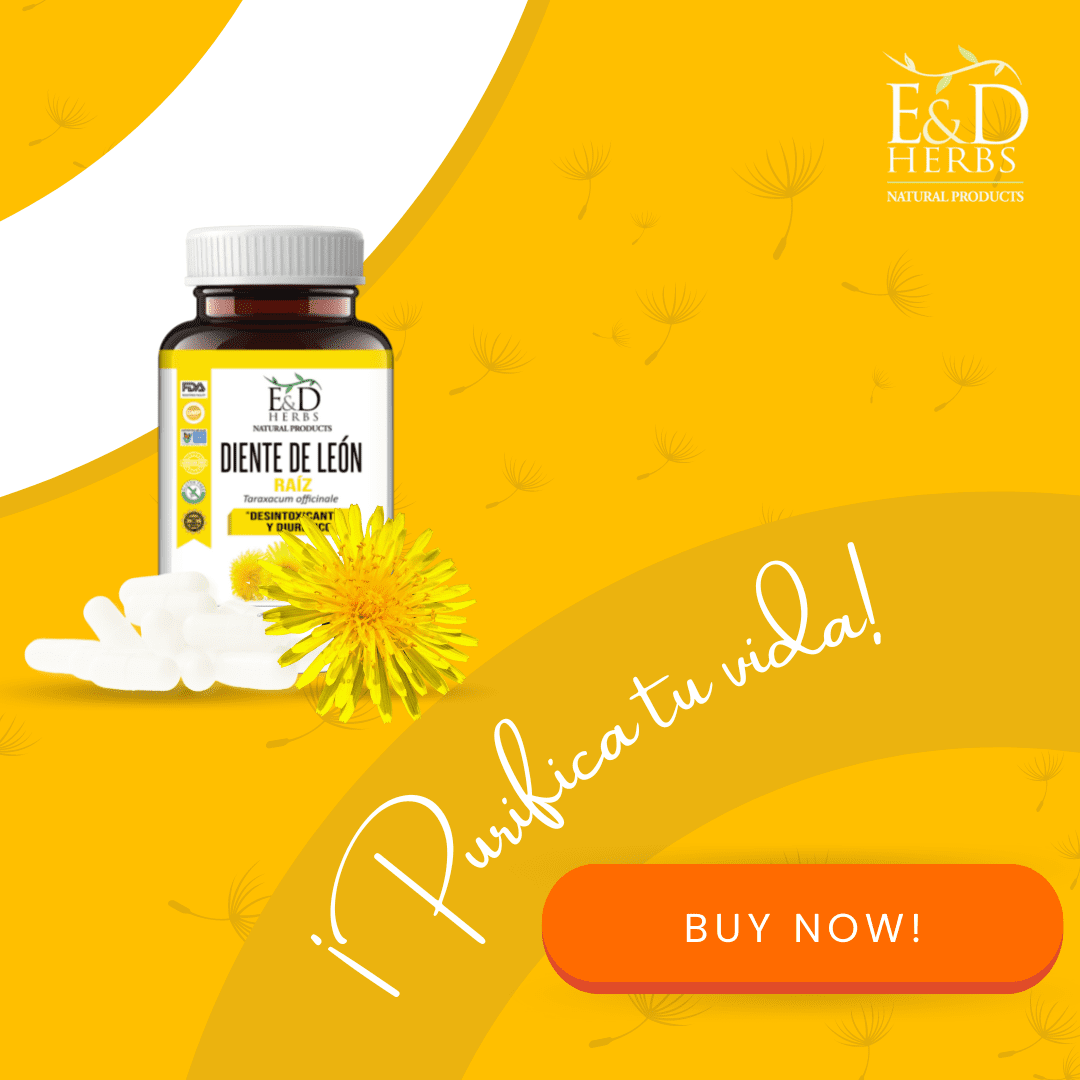 E&D Herbs 60 Dandelion Capsules of 500 Mg Detoxifies and Diuretic