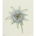 thumbnail image 2 of Jean Bernard 15x17 Gold Ornate Wood Frame and Double Matted Museum Art Print Titled - Passion Flower (C. 1825), 2 of 4