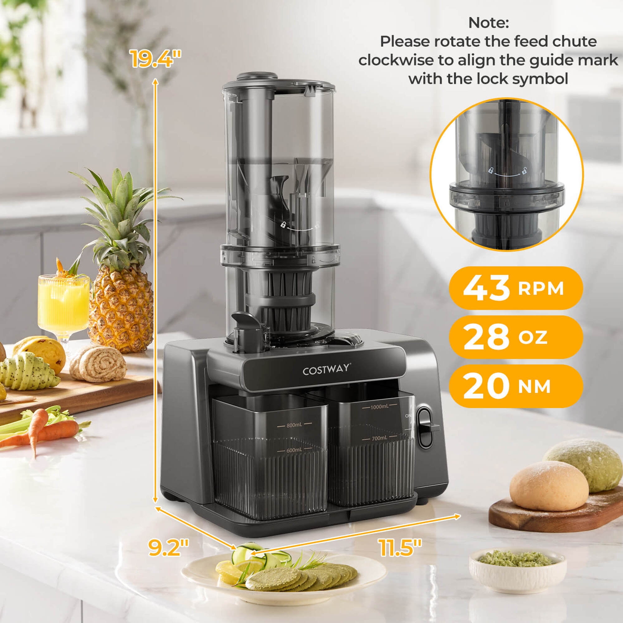 Costway Cold Press Juicer Machine Professional Slow Masticating Juicer with Reverse Button