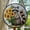 Yard Decor,, variant on Narcissus Flower GLASS Suncatcher Hanging, Birth Month Flower glass, Window hanging, Narcissus field sunset, December birthday, Stained Glass Ornament 2025, Holiday Decoration,