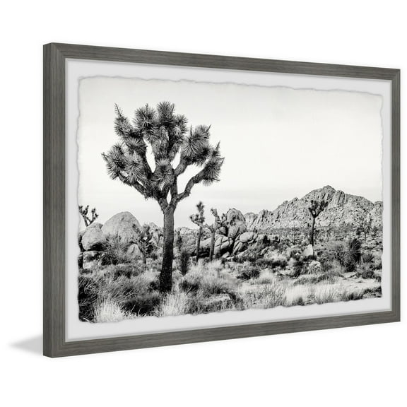 Marmont Hill Joshua Tree National Park Framed Wall Art, 8" x 12"