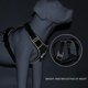 thumbnail image 5 of Pet Harness Reflective Dog Harness Vest Adjustable Safety Lead Straps for Medium Large Dogs French Bulldog Walking Harnesses ShopWise Round, 5 of 11