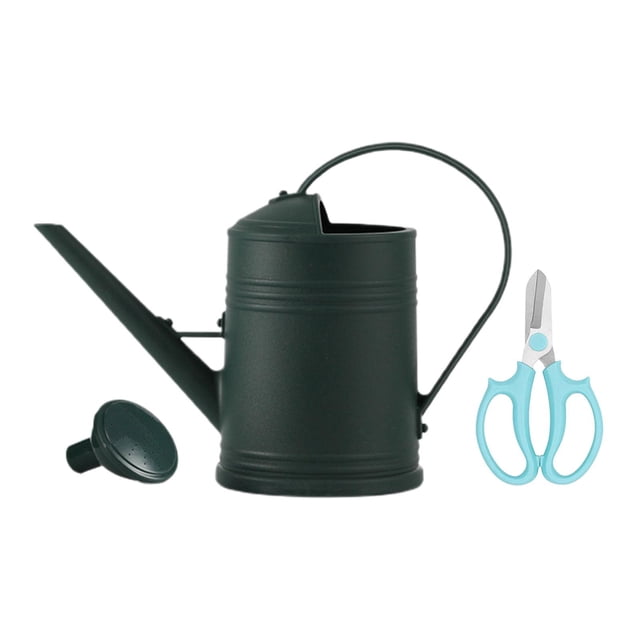 Regadera de 2L, regadera, boquilla extraíble, boca ancha con mango cómodo verde oscuro