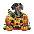 thumbnail image 2 of Fiudx Decoración de Calabaza de Halloween para Perro, Colgante de Ventana de Acrílico, Diseño Festivo Llamativo, Multifuncional para Fiestas, Fácil Instalación, Apto para Puerta de Entrada o Porche,, 2 of 5