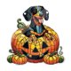 thumbnail image 1 of Decoraciones de Halloween, adornos de Halloween, regalos de Halloween, decoración de Halloween con forma de calabaza acrílica para colgar en la ventana, decoraciones de Halloween, 1 of 4