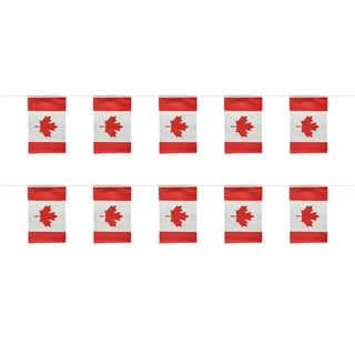 Drapeau De Table Acadia 5'' X 8'' - Canada - Drapeau De Bureau Acadien 21 X 14 Cm - Bâton Et Base En Plastique Noir - Drapeau Acadie AZ FLAG