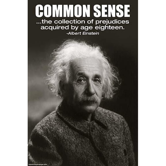 Common Sense- Fine Art Canvas Print (20" x 30")