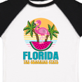 thumbnail image 4 of Inktastic Florida the Sunshine State Girls Toddler T-Shirt, 4 of 5