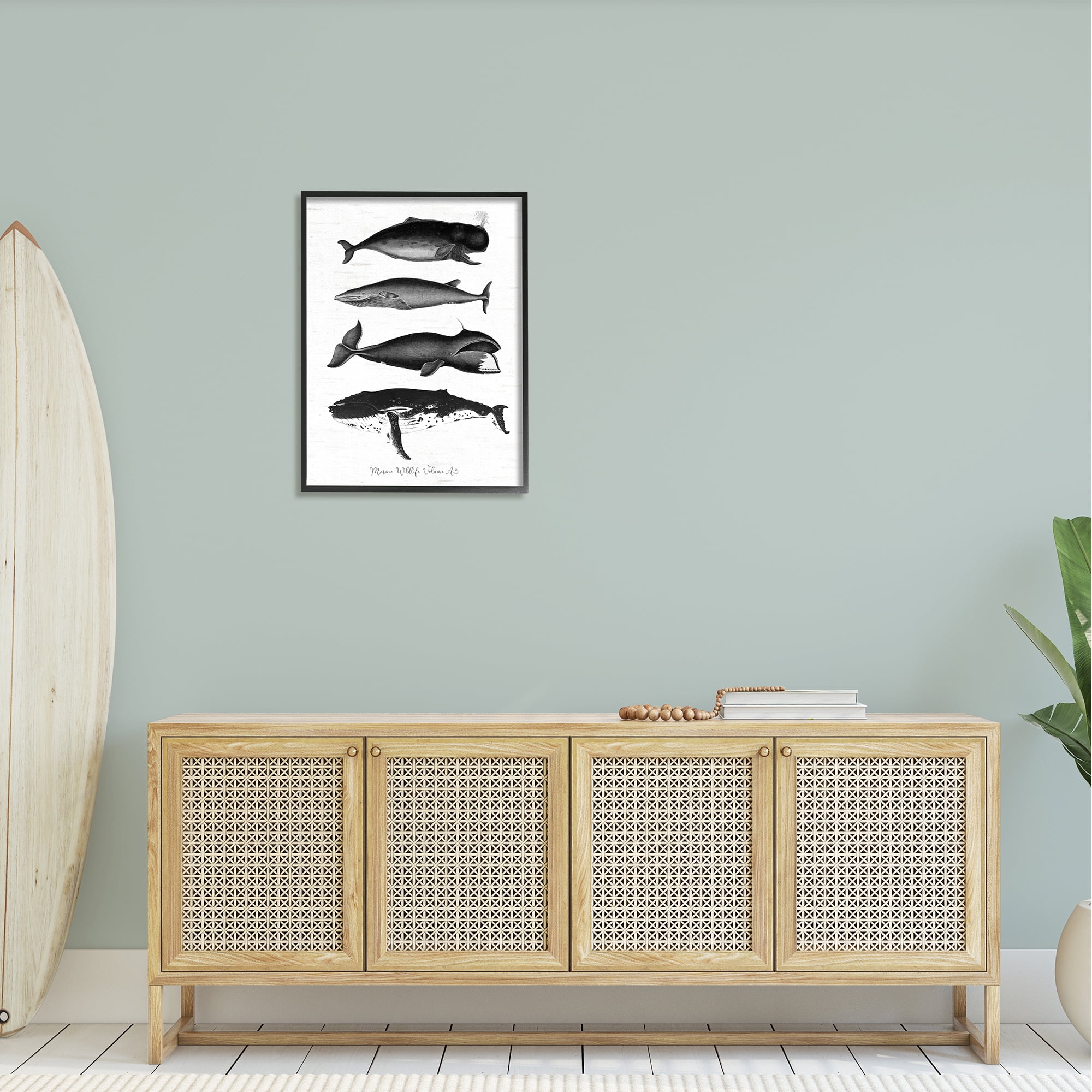 Stupell Industries Marine Wildlife Whales Drawings Diagram Weathered Pattern Graphic Art Black Framed Art Print Wall Art, Design by Lettered and Lined