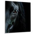 thumbnail image 2 of Designart "Mysterious Shadows Black Horse wall art" Animals Metal Wall Art Prints, 2 of 5