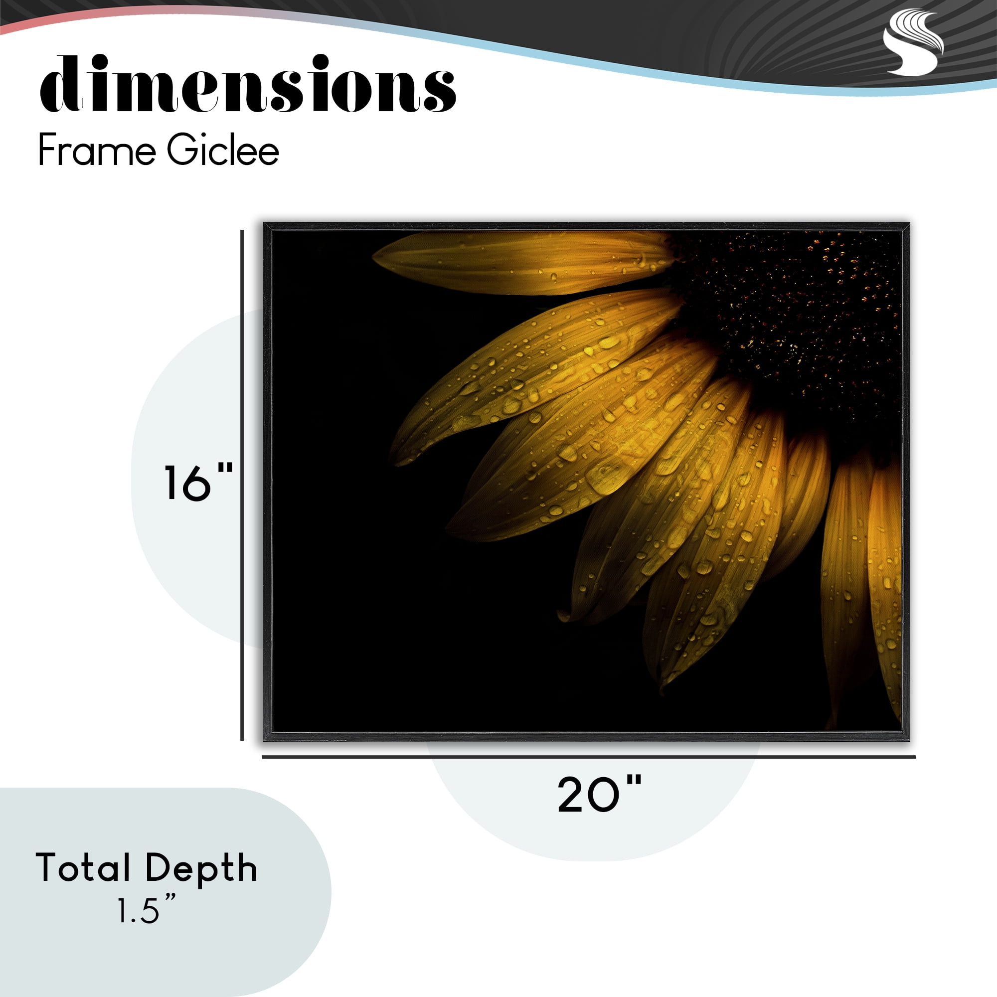 Water Droplets on Sunflower Black Framed Giclee Art, design by Brian Carson Photography