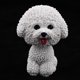 thumbnail image 2 of Bobble Head Dogs Modelo Juguetes para decoración Zulema Resina Bobble Head Dog, 2 of 8