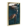 thumbnail image 4 of Stupell Industries Blowing Bubbles Turtle Animals Photography Gold Floater Framed Canvas Art Print Wall Art, 21 x 31, 4 of 10