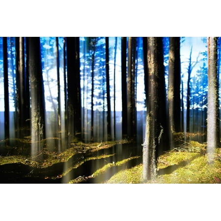Forest Lake Horizon Light Vertical Abstraction Print Wall Art By Nickolay