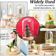 thumbnail image 6 of 2pcs 2pcs Glass Dome Cover with Cork Base 3.1x5.9 Inch Column Glass Dome Display Clear Glass Dome Eternal Flower Glass Display Case Cloche Bell Jar for Flower Storage Home Party Decoration, 6 of 6