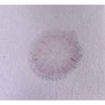 thumbnail image 2 of Absorbent Specialty Products Acid Neutralizer Pads, PK10, 2 of 2