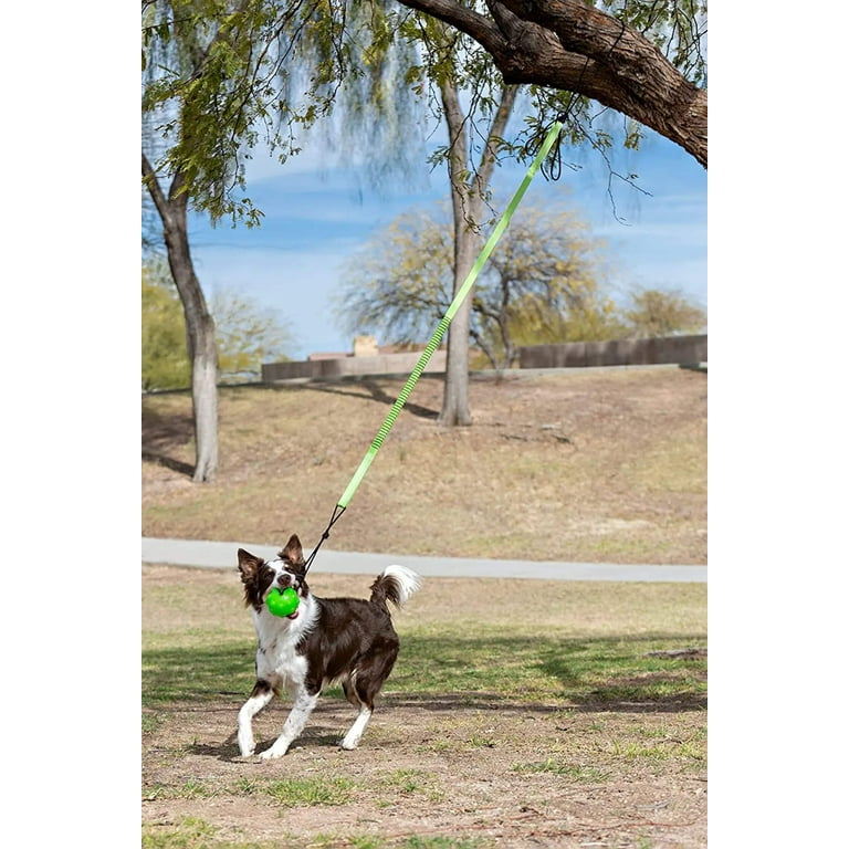 Tree tug for clearance dogs