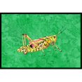 thumbnail image 1 of Carolines Treasures 8849MAT Grasshopper sur Tapis Vert Intérieur Ou Extérieur - 18 x 27 Po., 1 of 4